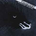 FIRMAMENT - We Don't Rise We Just Fall CD